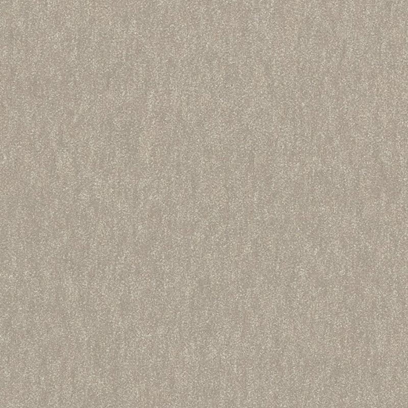 Biella Wool Taupe Spring 2026 Fabric by Coraggio — flat