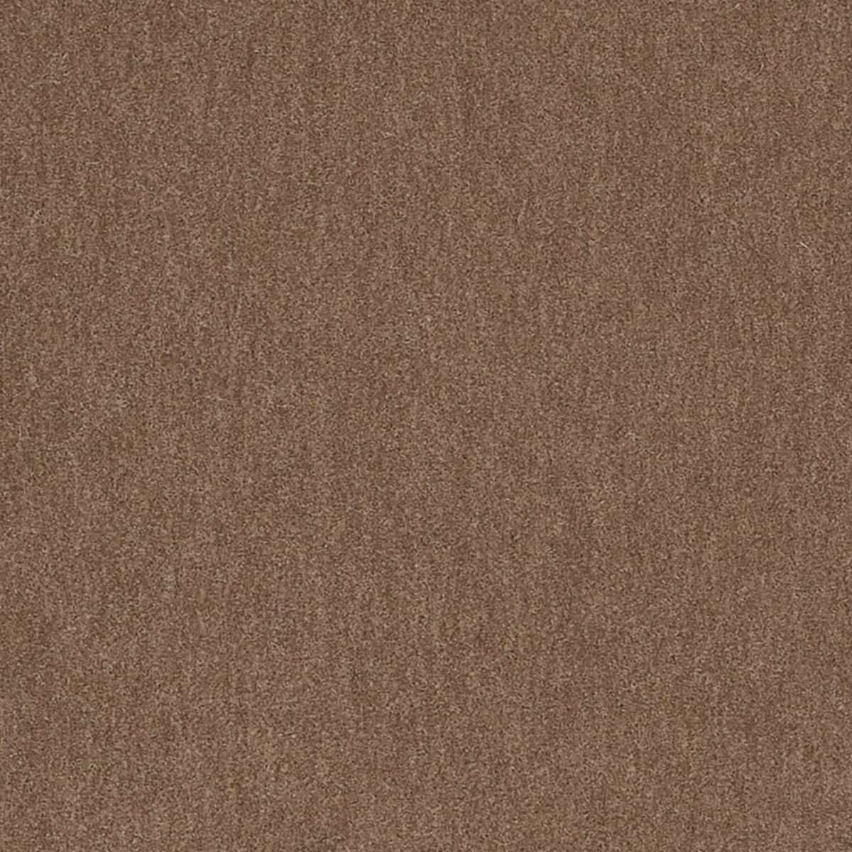Biella Wool Cappuccino Spring 2026 Fabric by Coraggio — flat