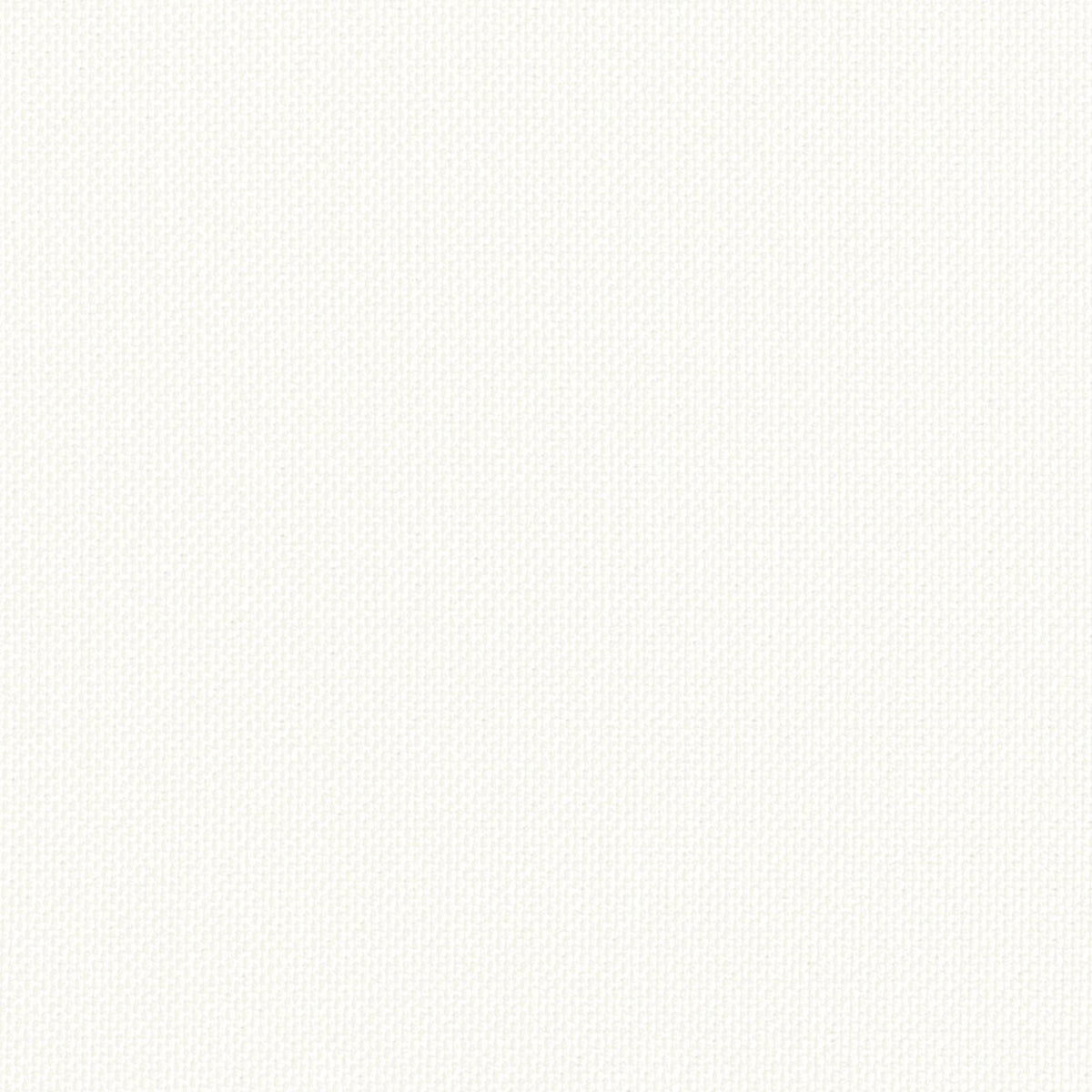 Lexington Weave Bianco Spring 2026 Fabric by Coraggio — flat