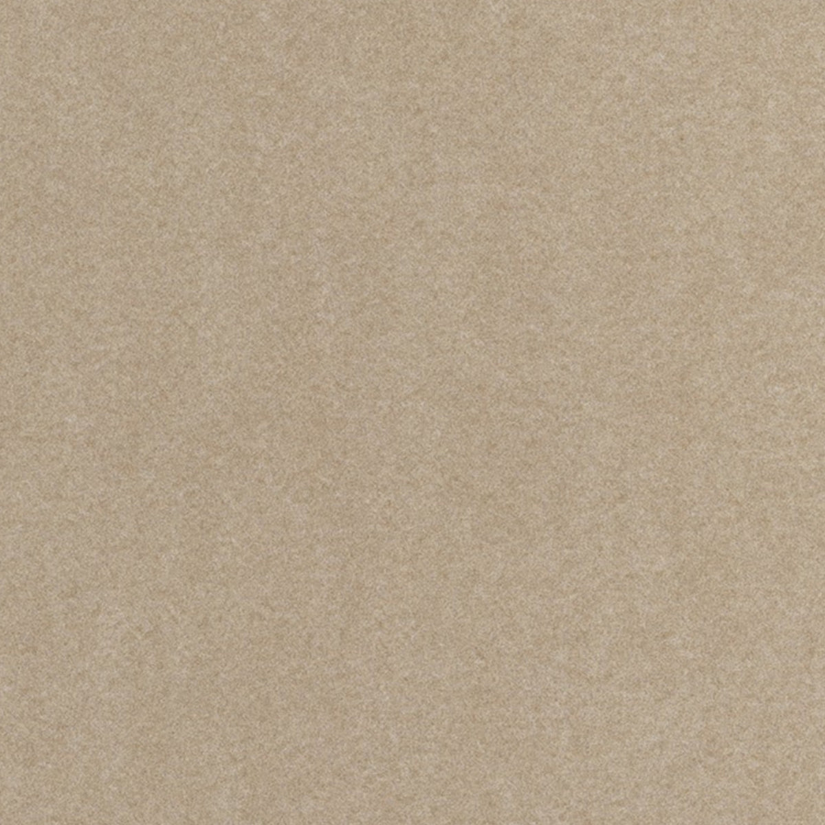 Via De La Paz Dune Thomas Lavin Fabric by Coraggio — flat