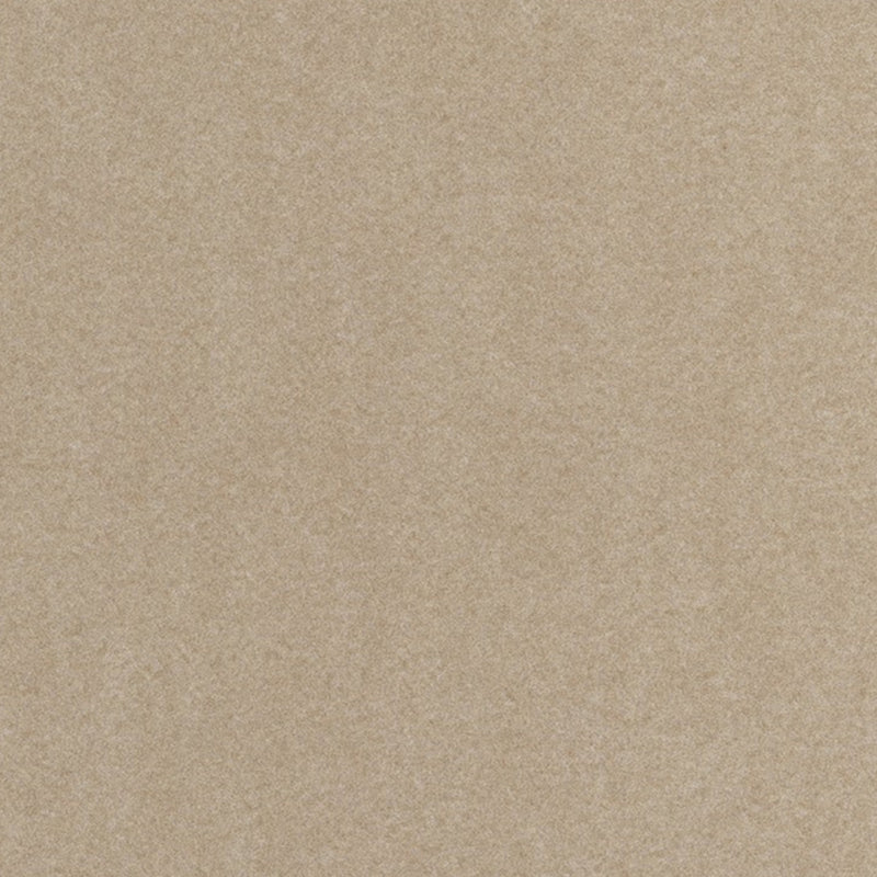Via De La Paz Dune Thomas Lavin Fabric by Coraggio — flat