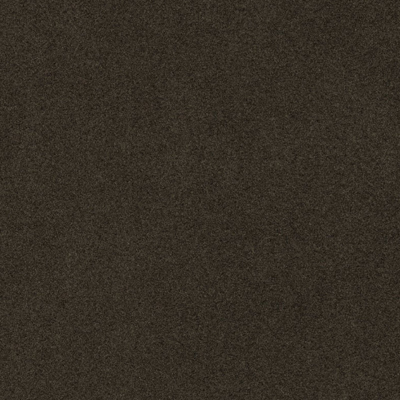 Via De La Paz Mink Thomas Lavin Fabric by Coraggio — flat