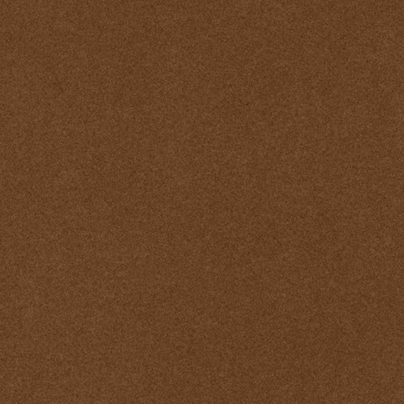 Via De La Paz Amber Thomas Lavin Fabric by Coraggio — flat