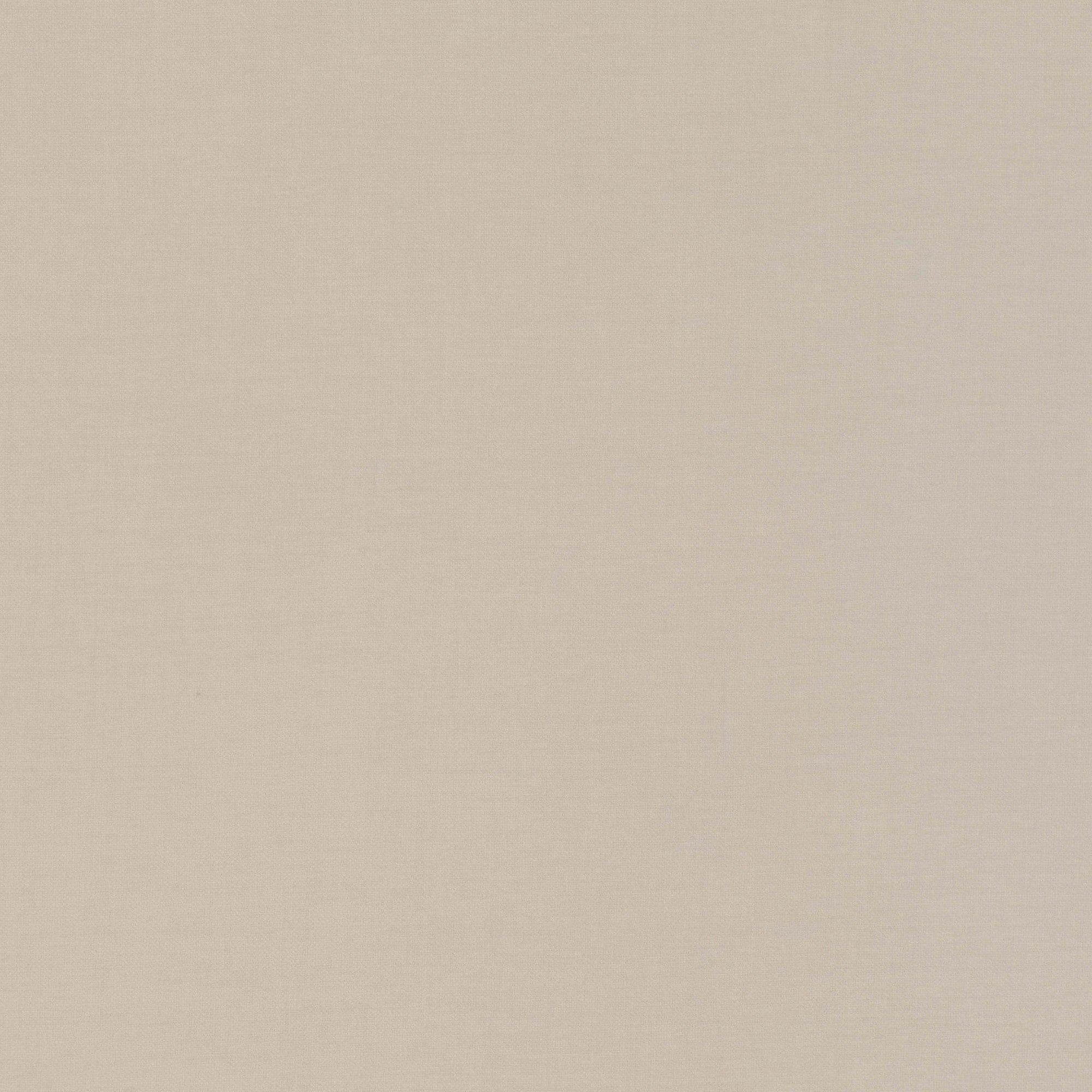 V3078/53 Atlantis Putty Fabric by Villa Nova