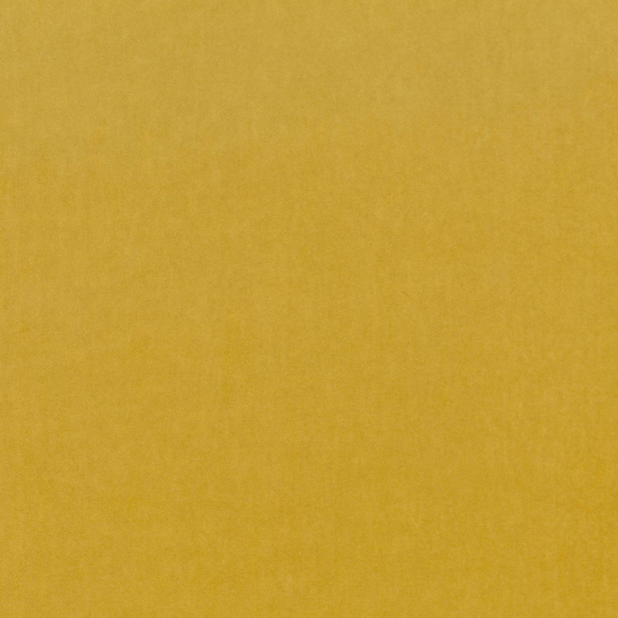 V3347/02 Barcelona Plantain Fabric by Villa Nova