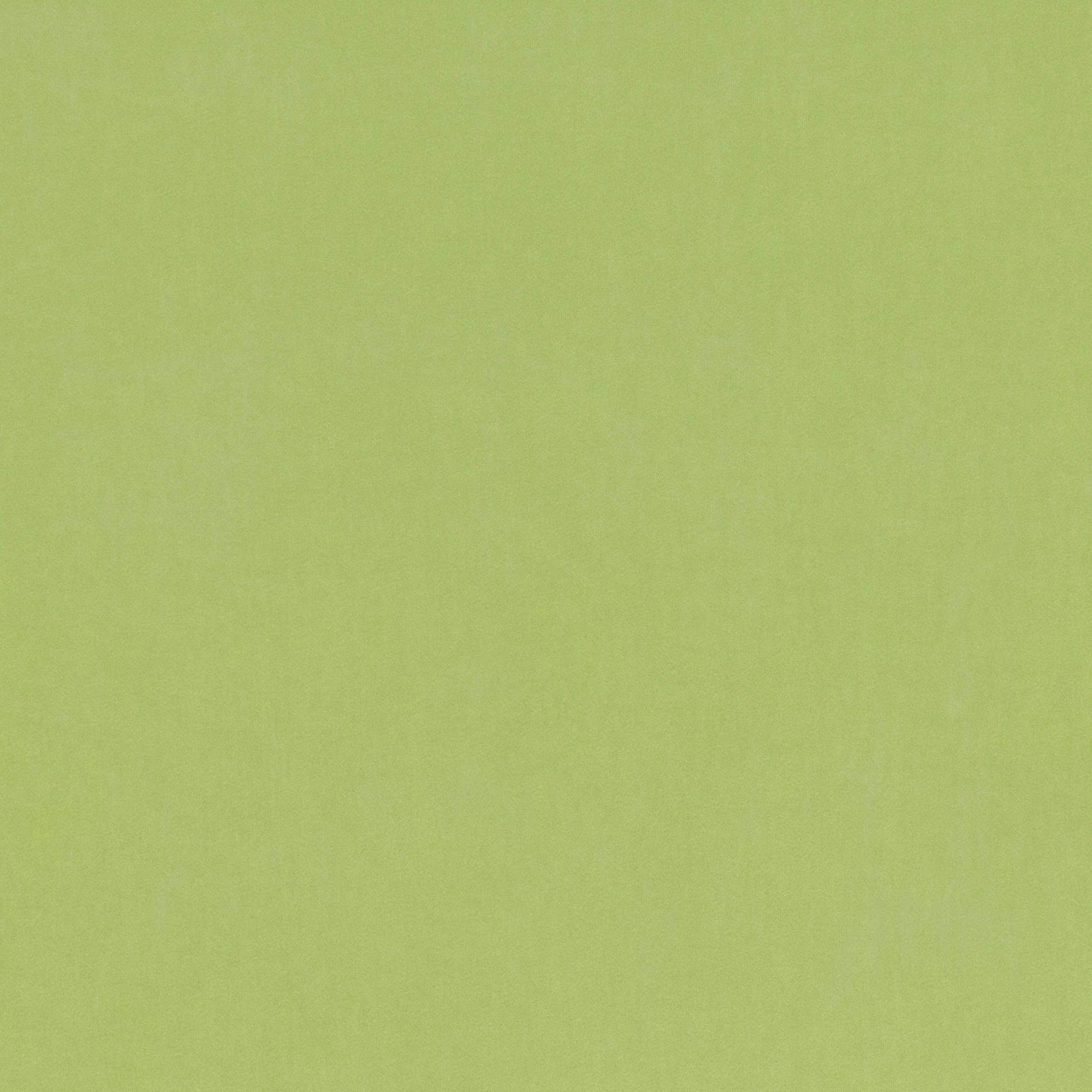 V3347/47 Barcelona Matcha Fabric by Villa Nova