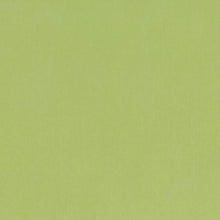 V3347/47 Barcelona Matcha Fabric by Villa Nova