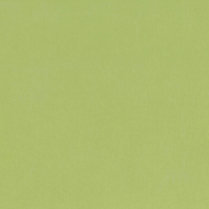 V3347/47 Barcelona Matcha Fabric by Villa Nova