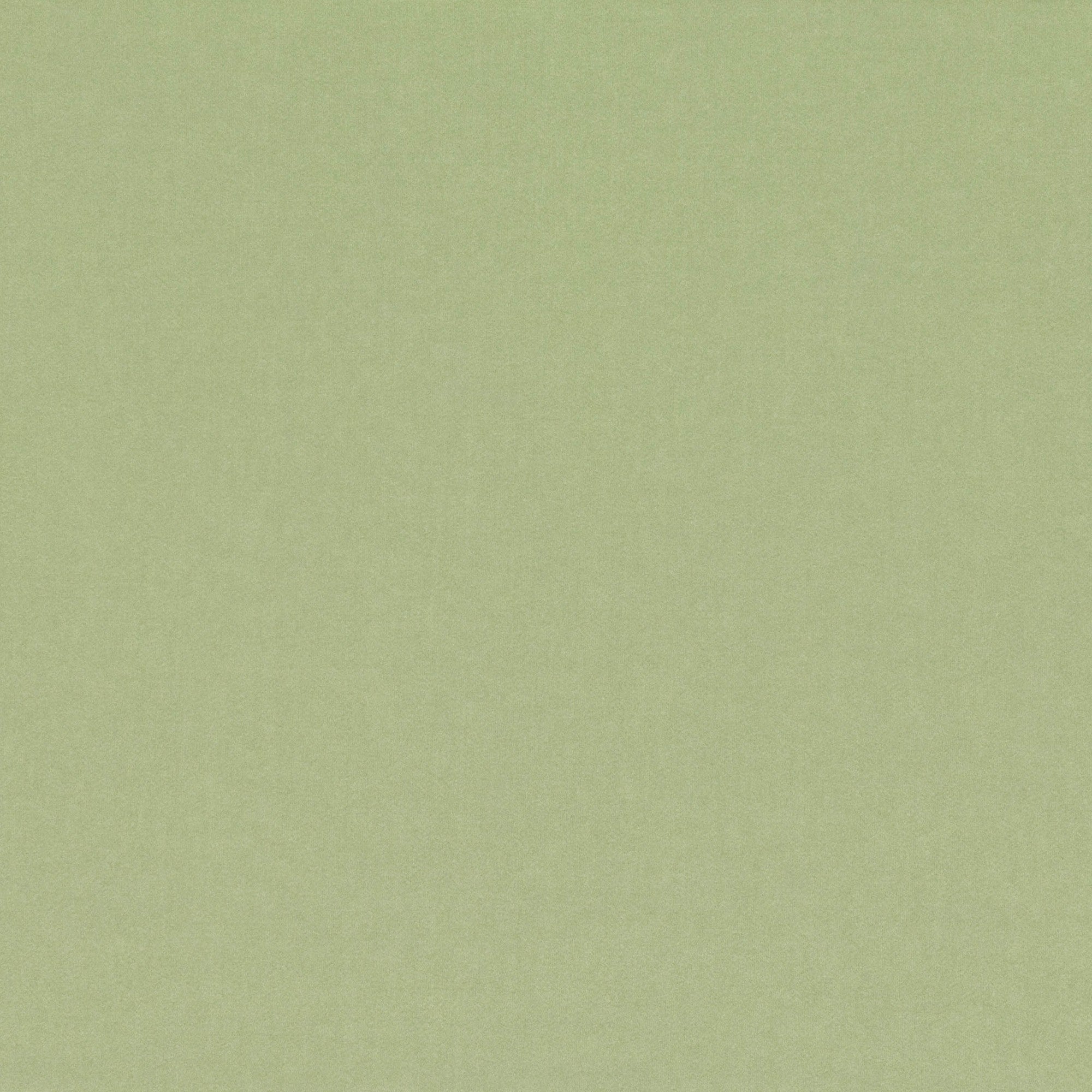 V3347/48 Barcelona Rosemary Fabric by Villa Nova