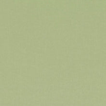 V3347/48 Barcelona Rosemary Fabric by Villa Nova