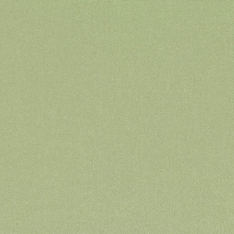 V3347/48 Barcelona Rosemary Fabric by Villa Nova