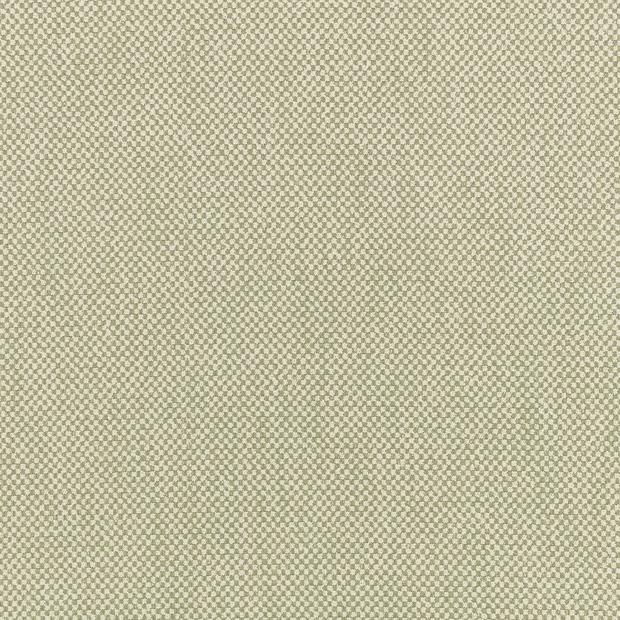 V3641/05 Albers Rosemary Morandi Fabric by Villa Nova