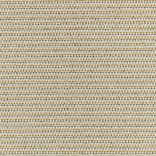 V3647/06 Kahlo Carbon Morandi Fabric by Villa Nova