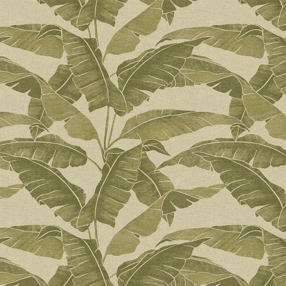 VA02340 Verdant Cypress Wallpaper by Sketch Twenty 3