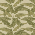 Verdant Cypress Valencia Wallpaper by Sketch Twenty 3