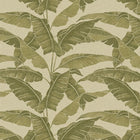 VA02340 Verdant Cypress Wallpaper by Sketch Twenty 3