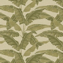 VA02340 Verdant Cypress Wallpaper by Sketch Twenty 3