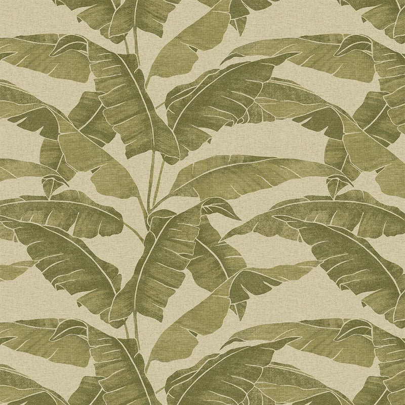VA02340 Verdant Cypress Wallpaper by Sketch Twenty 3