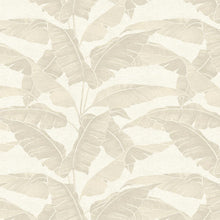 VA02342 Verdant Vanilla Wallpaper by Sketch Twenty 3