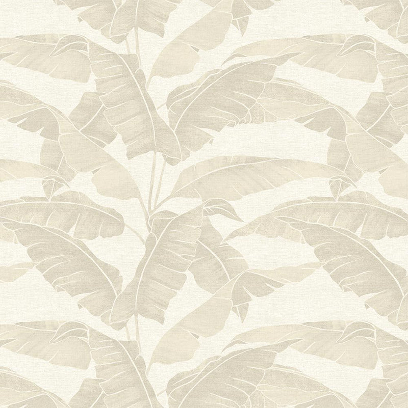 VA02342 Verdant Vanilla Wallpaper by Sketch Twenty 3