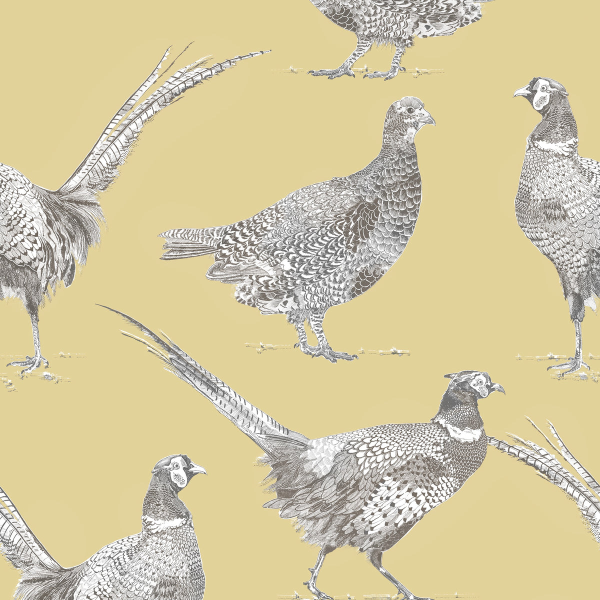 Venatu Corn Voyage Country Wallpaper by Voyage Maison | VENATU/WPO/COR