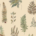 Verbena Mulberry Botanical Stories Wallpaper by Voyage Maison