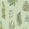 Verbena Sage Botanical Stories Wallpaper by Voyage Maison