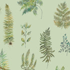 Verbena Sage Wallpaper by Voyage Maison | VERBENA/WPO/SAG
