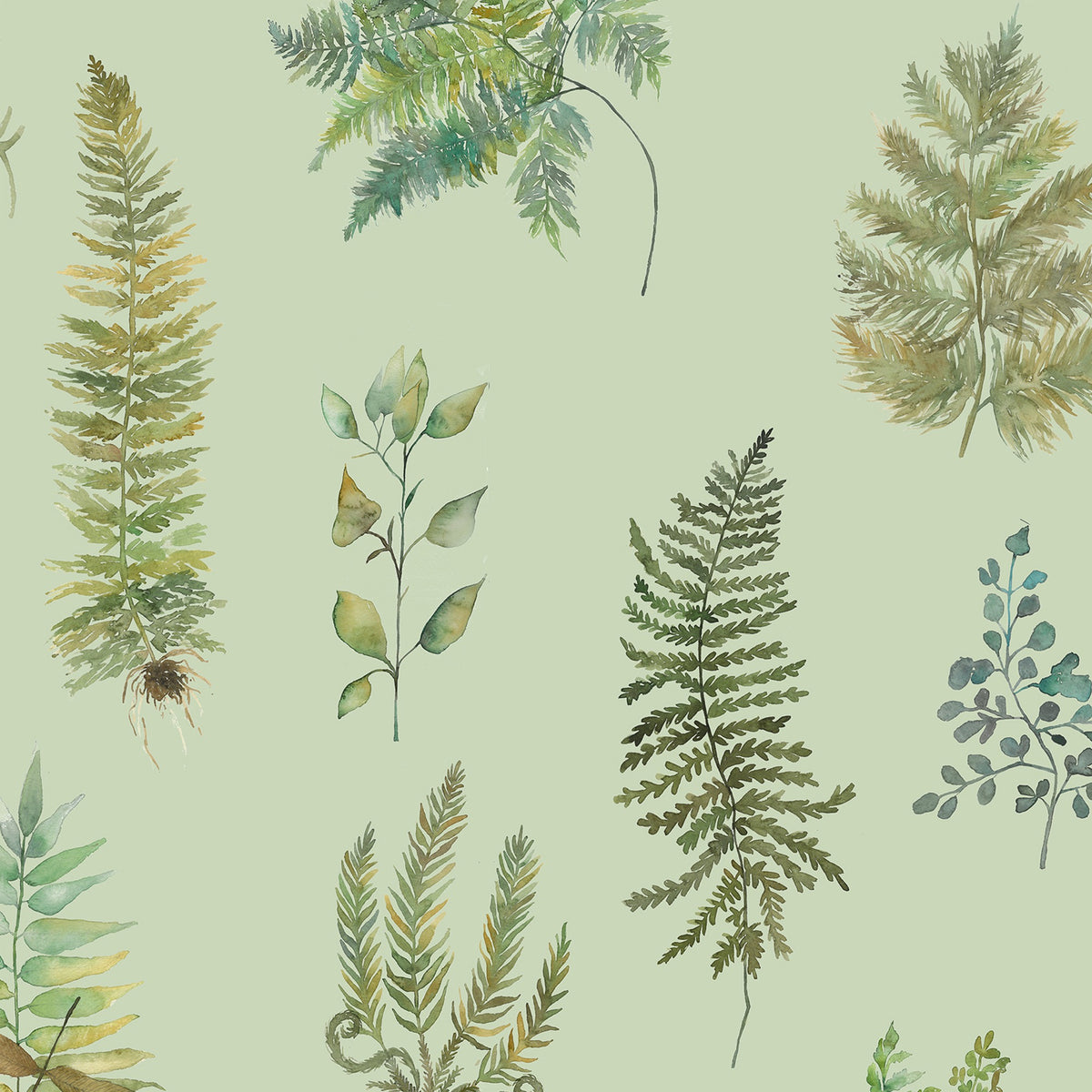 Verbena Sage Wallpaper by Voyage Maison | VERBENA/WPO/SAG