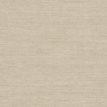 VN01216 Hope Venice Wallpaper by Sketch Twenty 3