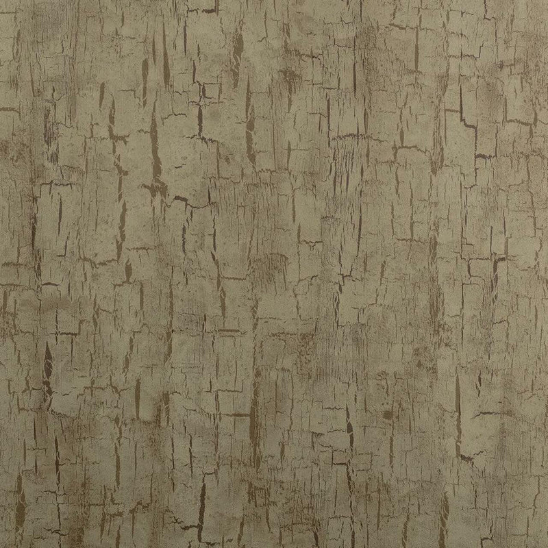 W0062/01 Treebark Reflections Wallpaper By Clarke & Clarke