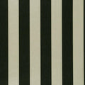 Nevis Colony Wallpaper By Clarke & Clarke