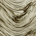 Agata Botanica Wallpaper By Clarke & Clarke