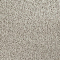 Isla Botanica Wallpaper By Clarke & Clarke