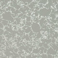 Pietra Botanica Wallpaper By Clarke & Clarke
