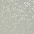 Pietra Botanica Wallpaper By Clarke & Clarke