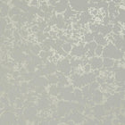 W0096/05 Pietra Botanica Wallpaper By Clarke & Clarke