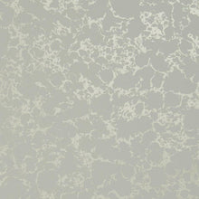 W0096/05 Pietra Botanica Wallpaper By Clarke & Clarke