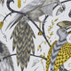 Audubon Animalia Wallpaper By Emma J Shipley Clarke & Clarke