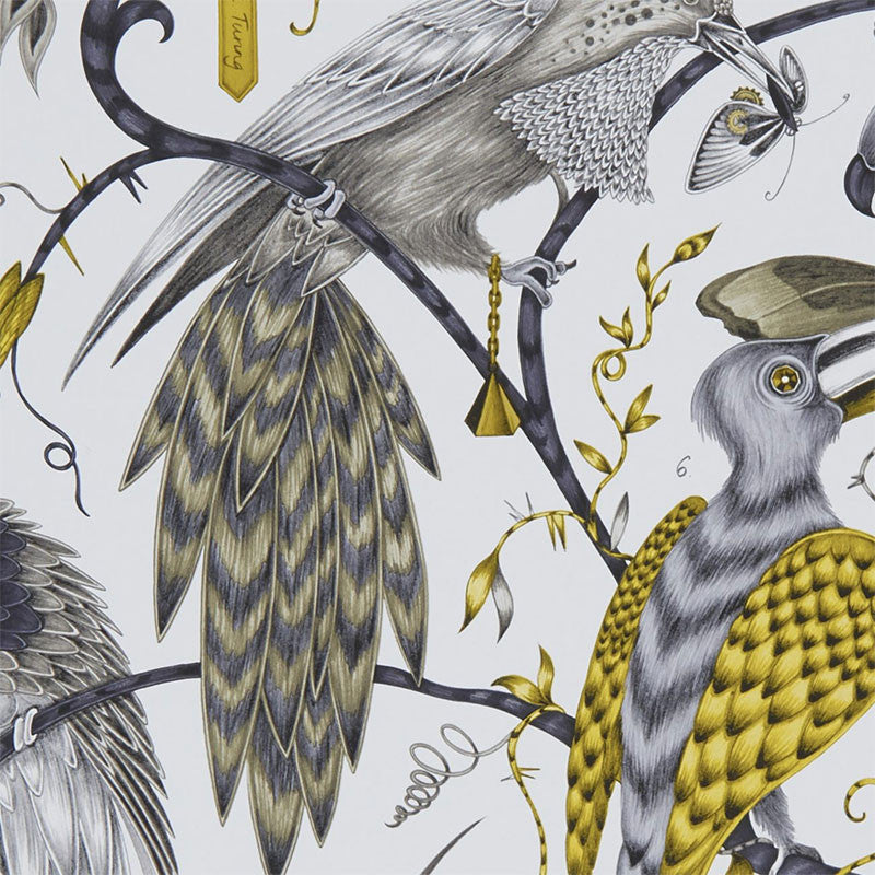 W0099/02 Audubon Animalia Wallpaper By Emma J Shipley Clarke & Clarke
