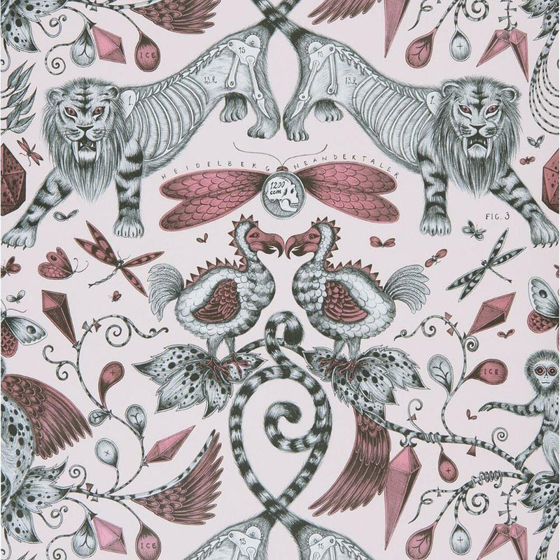 W0100/05 Extinct Animalia Wallpaper By Emma J Shipley Clarke & Clarke