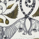 Extinct Animalia Wallpaper By Emma J Shipley Clarke & Clarke