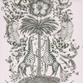 Kruger Animalia Wallpaper By Emma J Shipley Clarke & Clarke
