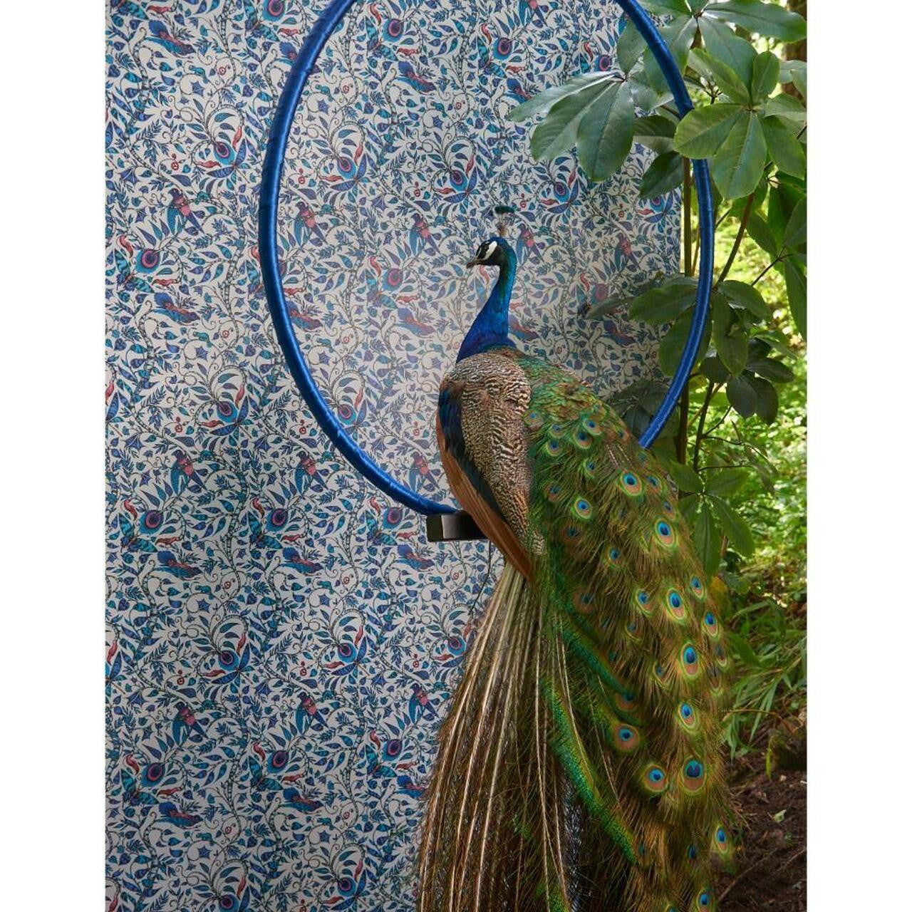 W0104/01 Rousseau Animalia Wallpaper By Emma J Shipley Clarke & Clarke