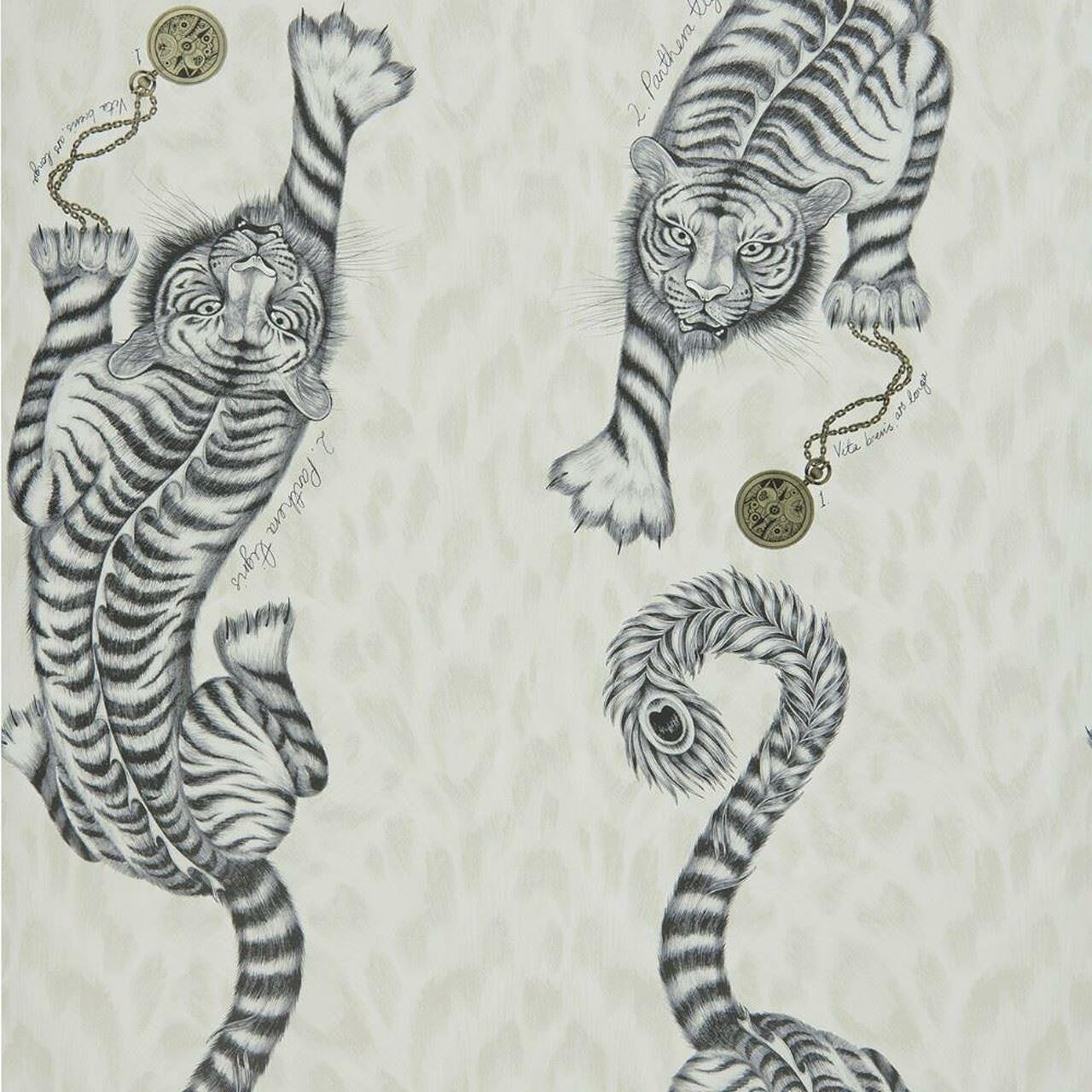 W0105/02 Tigris Animalia Wallpaper By Emma J Shipley Clarke & Clarke