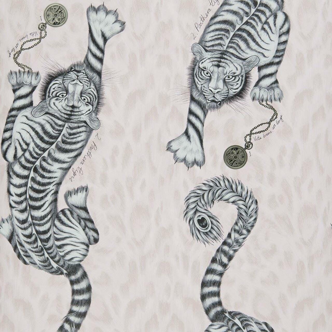 W0105/04 Tigris Animalia Wallpaper By Emma J Shipley Clarke & Clarke
