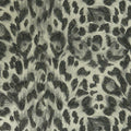 Felis Wilderie by Emma J Shipley Wallpaper by Clarke & Clarke