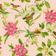 Blush Pink Lotus Botanical Wonders Wedgwood Wallpaper by Clarke & Clarke