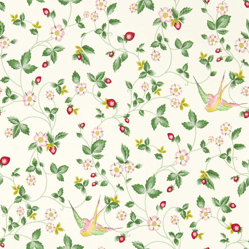 W0135/03 Ivory Wild Strawberry Botanical Wonders Wedgwood Wallpaper by Clarke & Clarke