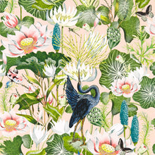 W0137/01 Blush Waterlily Botanical Wonders Wedgwood Wallpaper by Clarke & Clarke